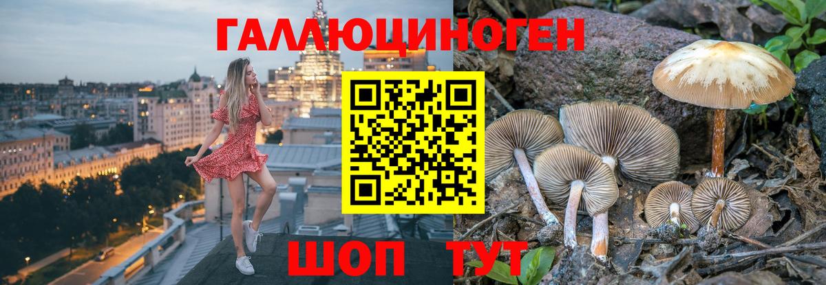 Кудымкар  Галлюциногенные грибы прущие грибы  Галлюциногенные грибы мицелий  Вход с VPN 
