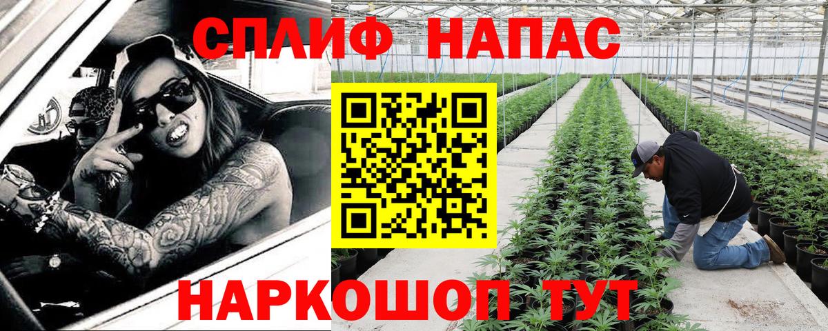 Шишки марихуана Amnesia  Вход с VPN  Бошки Шишки план  Кудымкар  Конопля Ganja 